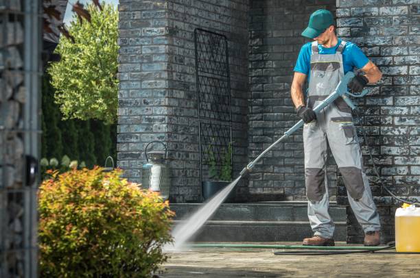 Best Building Exterior Washing  in Crainvle, IL