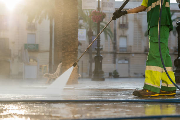 Best Driveway Pressure Washing  in Crainvle, IL